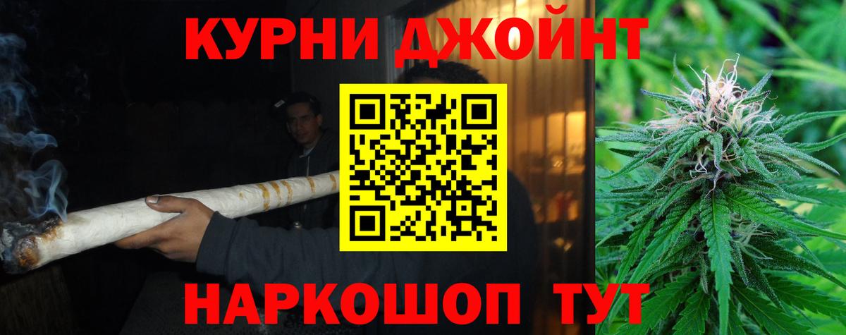 Бошки Шишки план Когалым